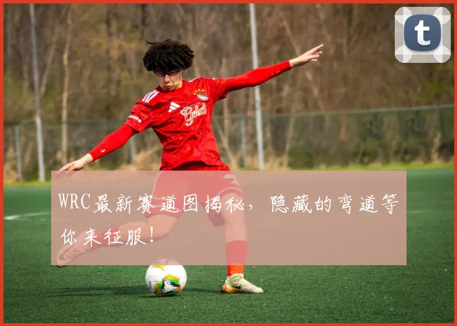 WRC最新赛道图揭秘,隐藏的弯道等你来征服!